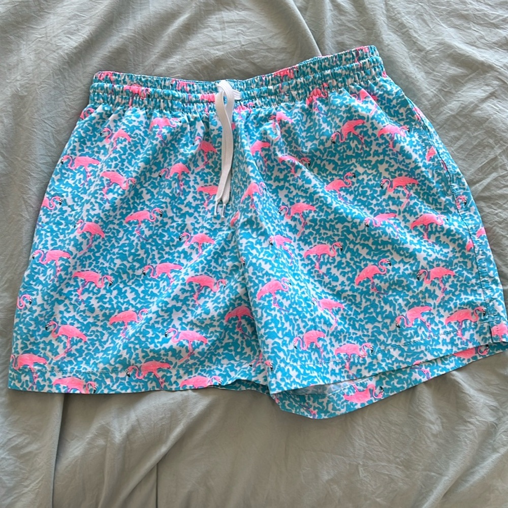 Chubbies bathing suit